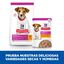 80 g Hill's Science Plan Puppy Small&Mini Estofado de Pollo y Vegetales sobre, , large indicador imagen numero 7